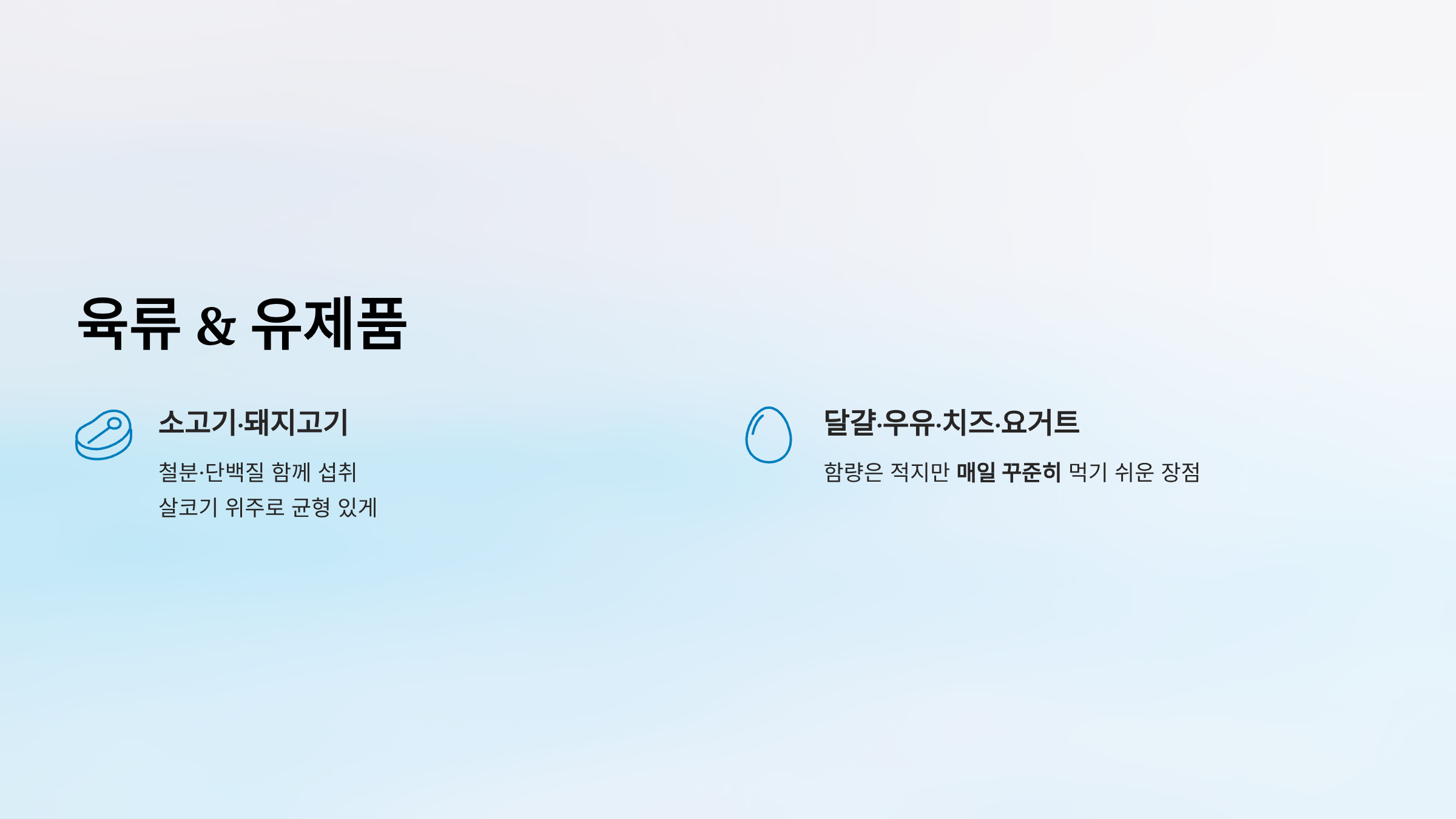 비타민 B12가 많은 음식