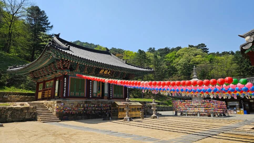 원주 치악산 구룡사 : 아홉 용의 전설과 황장목 숲길이 주는 휴식