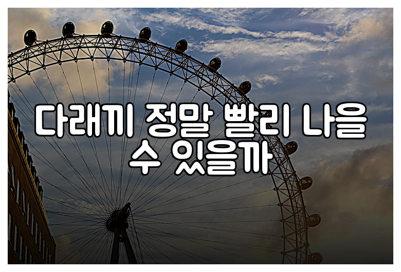 다래끼 정말 빨리 나을 수 있을까
