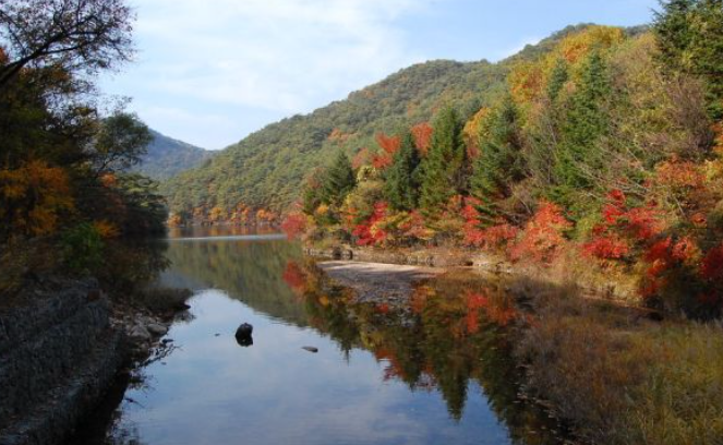 2025 충청도 단풍 명산 코스 추천 ❘ 월악산&middot;계룡산&middot;속리산 절정 시기