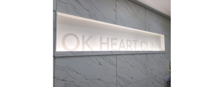 서울 은평구 고지혈증