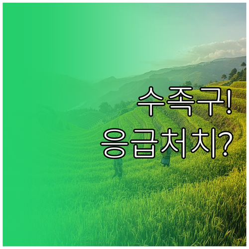 아이 수족구 증상과 응급 상황 시 대..