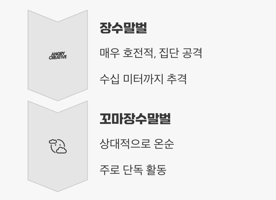 예측불허의 성격, '공격성'