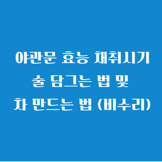 야관문 효능 채취시기 술 담그는 법 및 차 만드는 법 (비수리)
