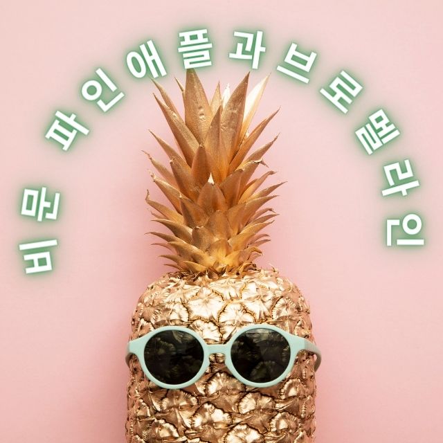 비문증 브로멜라인