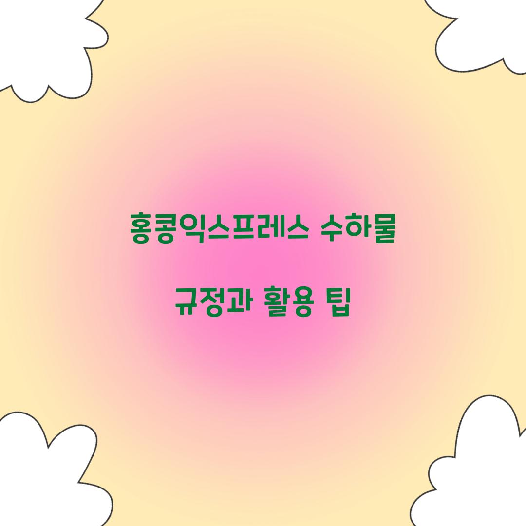홍콩익스프레스 수하물