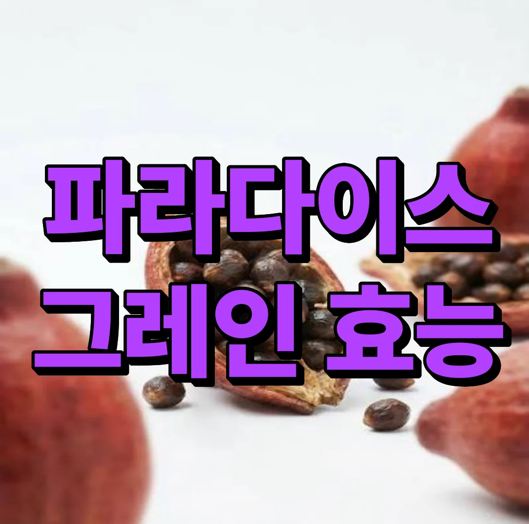 파라다이스 그레인 효능