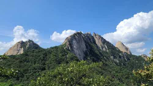 명동산