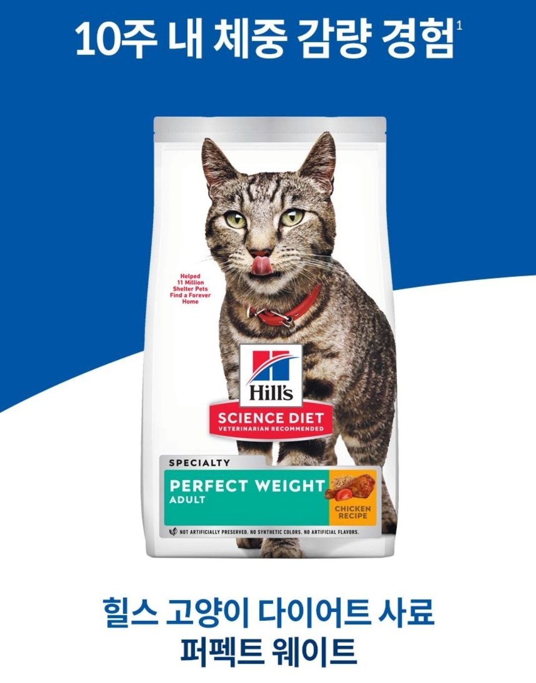 힐스 캣 어덜트 퍼펙트 웨이트