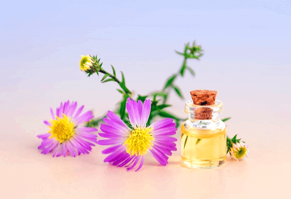 투명한 작은 유리병에 연노란색 에센셜오일이 담겨있다. 주변엔 보라색 꽃들이 있다.