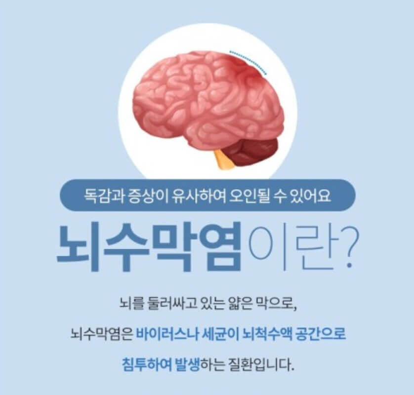 뇌수막염