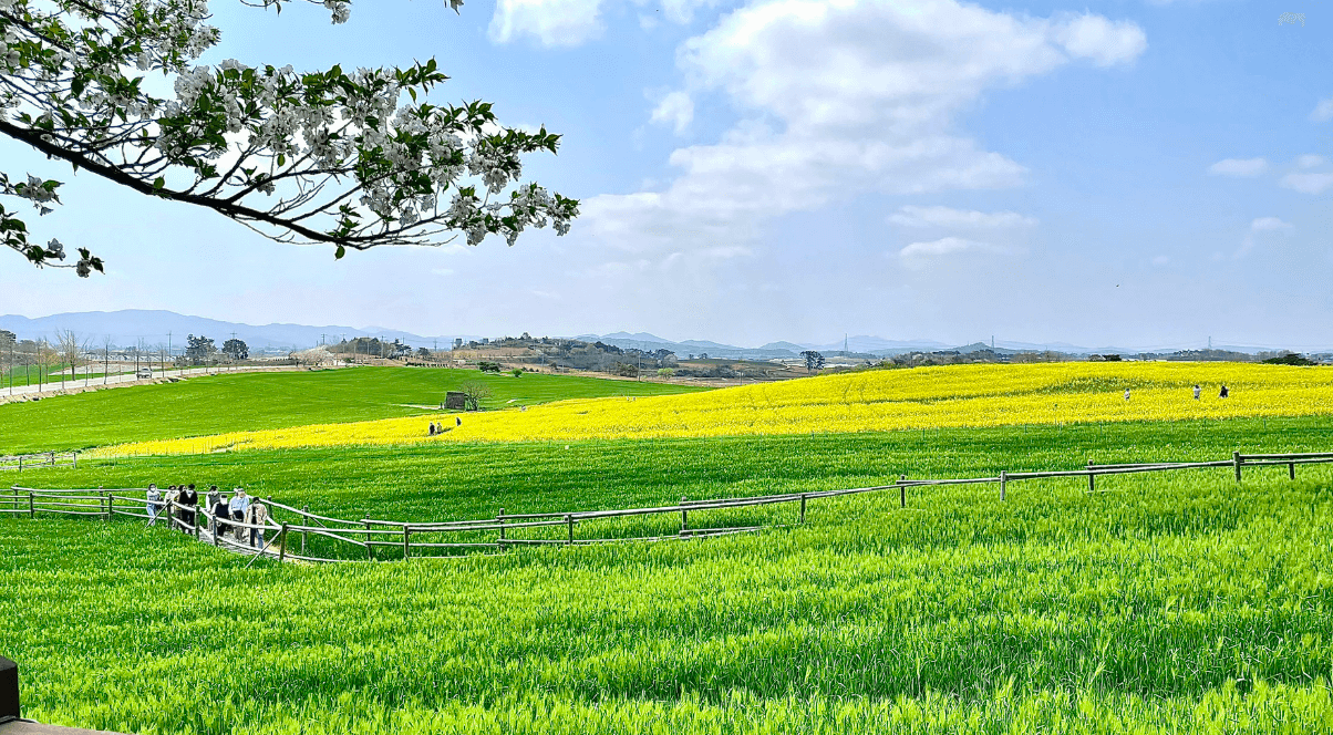 고창 학원 농장 입장료 총정리 관련사진