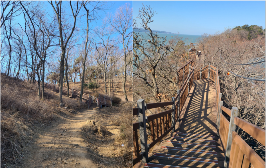 대부해솔길 구봉도 등산길