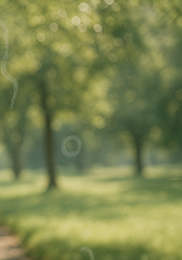 비문증 치료방법