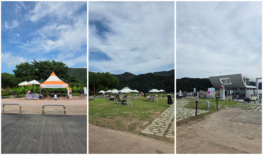 자라섬 (2025 꽃 페스타)