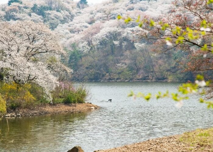 용인 가볼만한곳 베스트 10