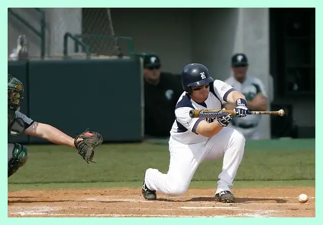 야구 프리미어 12 명단 최종