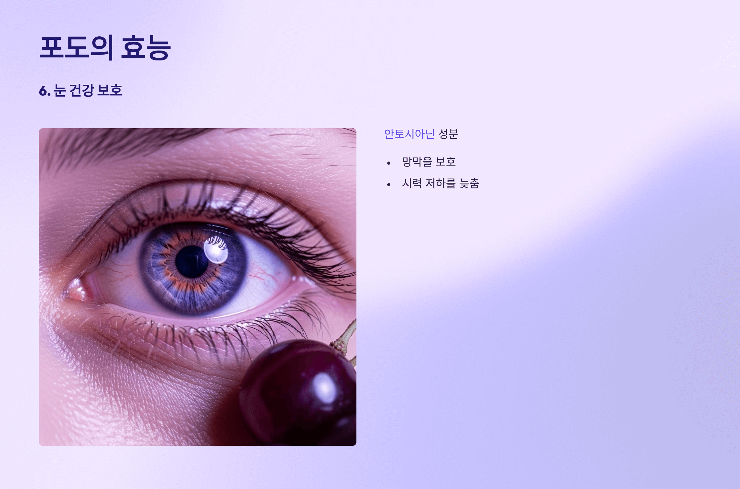 포도 사진입니다.