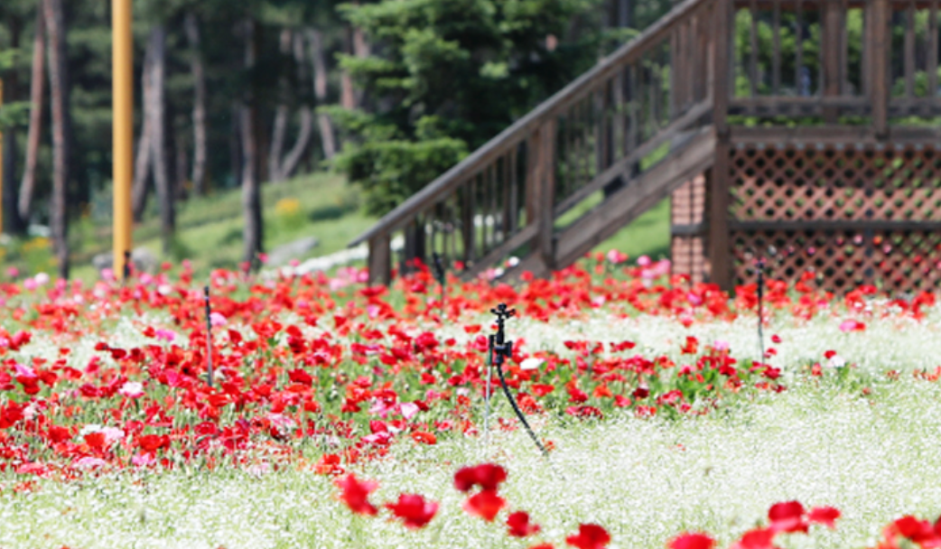 가평 놀거리 명소 액티비티 먹거리