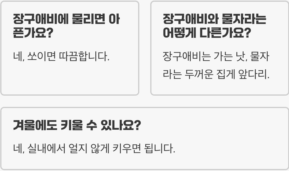 물속의 암살자 장구애비 키우기 A to Z (사육통, 먹이, 수질 관리 완벽 가이드)