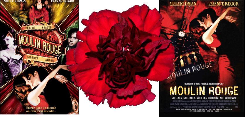 뮤지컬 영화의 귀환 (물랑루즈, 라라랜드, 인더하이츠)