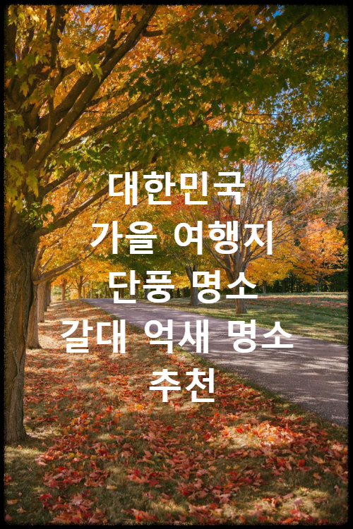 대한민국 가을 여행지 단풍 명소 갈대 억새 명소 추천