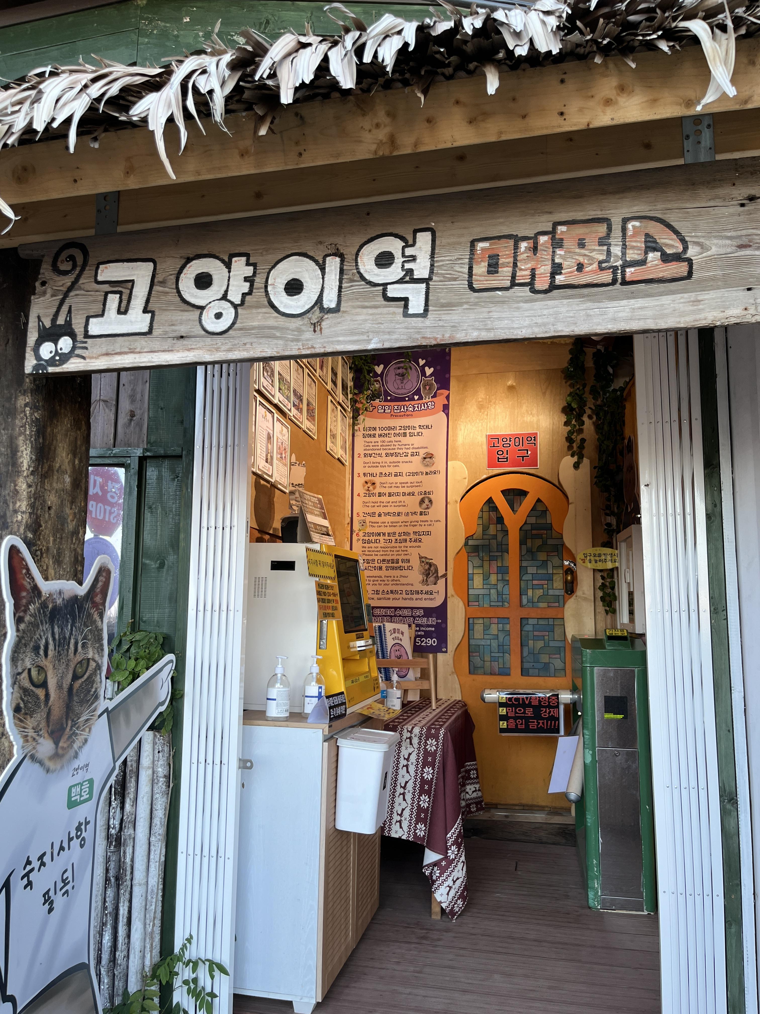 고양이역