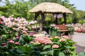 휴애리 입장료 50% 할인받는 법