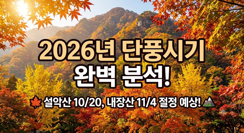 2026년 단풍시기