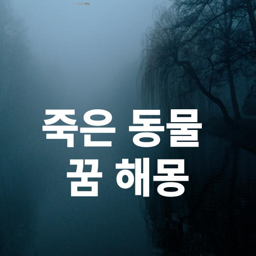 동물 죽는 꿈 의미 ( 용이 사람을 물어 죽이는, 연못 속의 물고기가 죽어서 둥둥 떠있는, 여우를 죽이는 꿈이나 관련된, 어항 속 거북이가 물고기를 죽이는, 악어 떼가 외양간에 죽어 있는, 쌍..