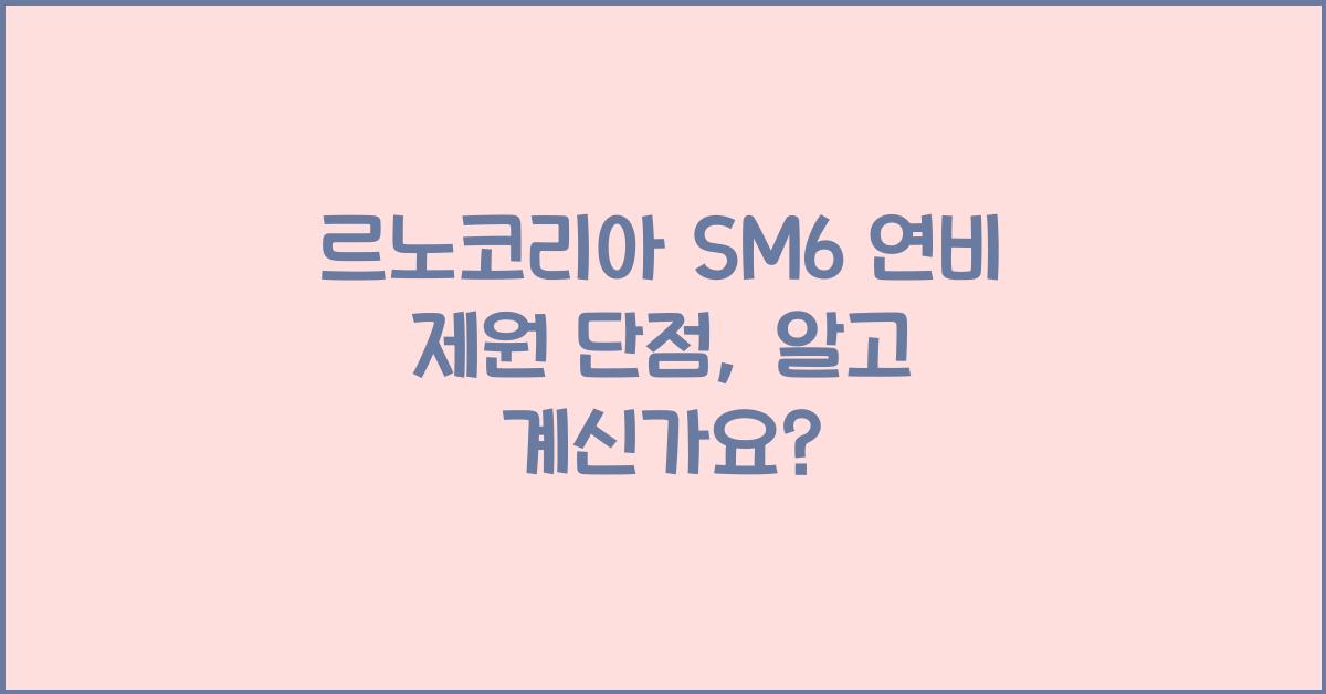 르노코리아 SM6 연비 제원 단점