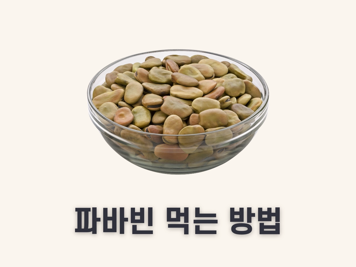 파바빈 먹는 방법