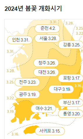 개나리축제