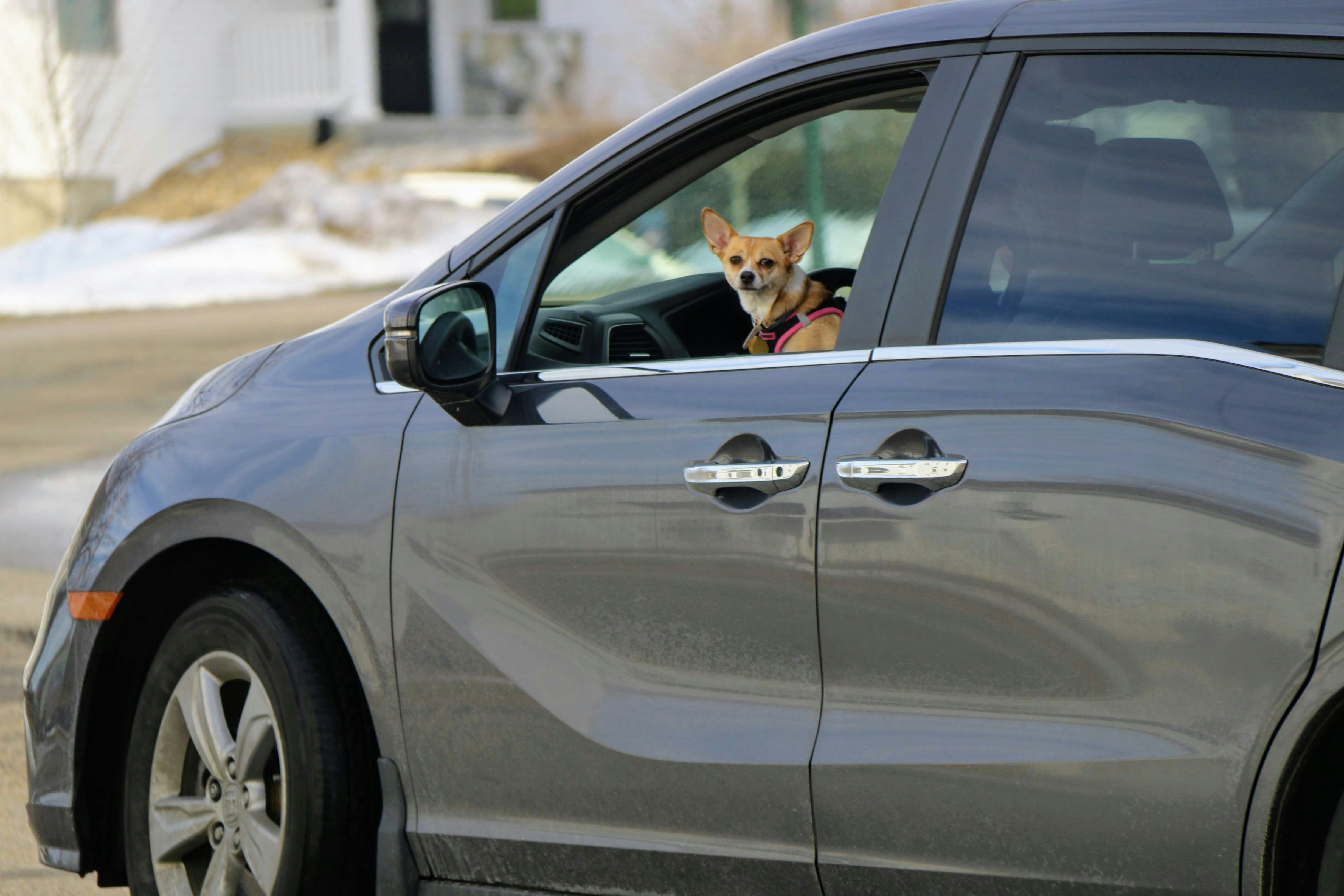 운전면허 벌점 감경교육 신청 방법 : 벌점 최대 20점 줄이는 꿀팁!