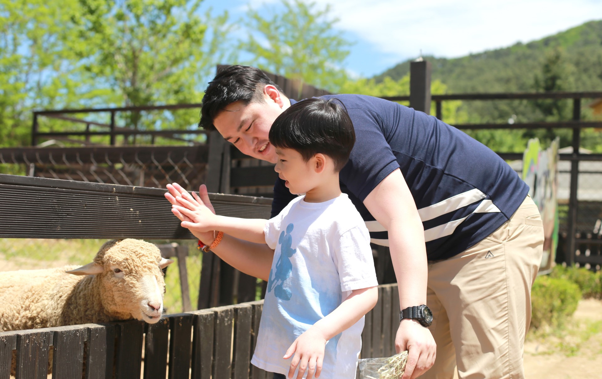 동물과의 교감 시간