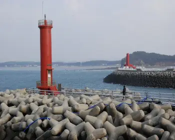 서천 홍원항 자연산 전어 꽃게 축제9