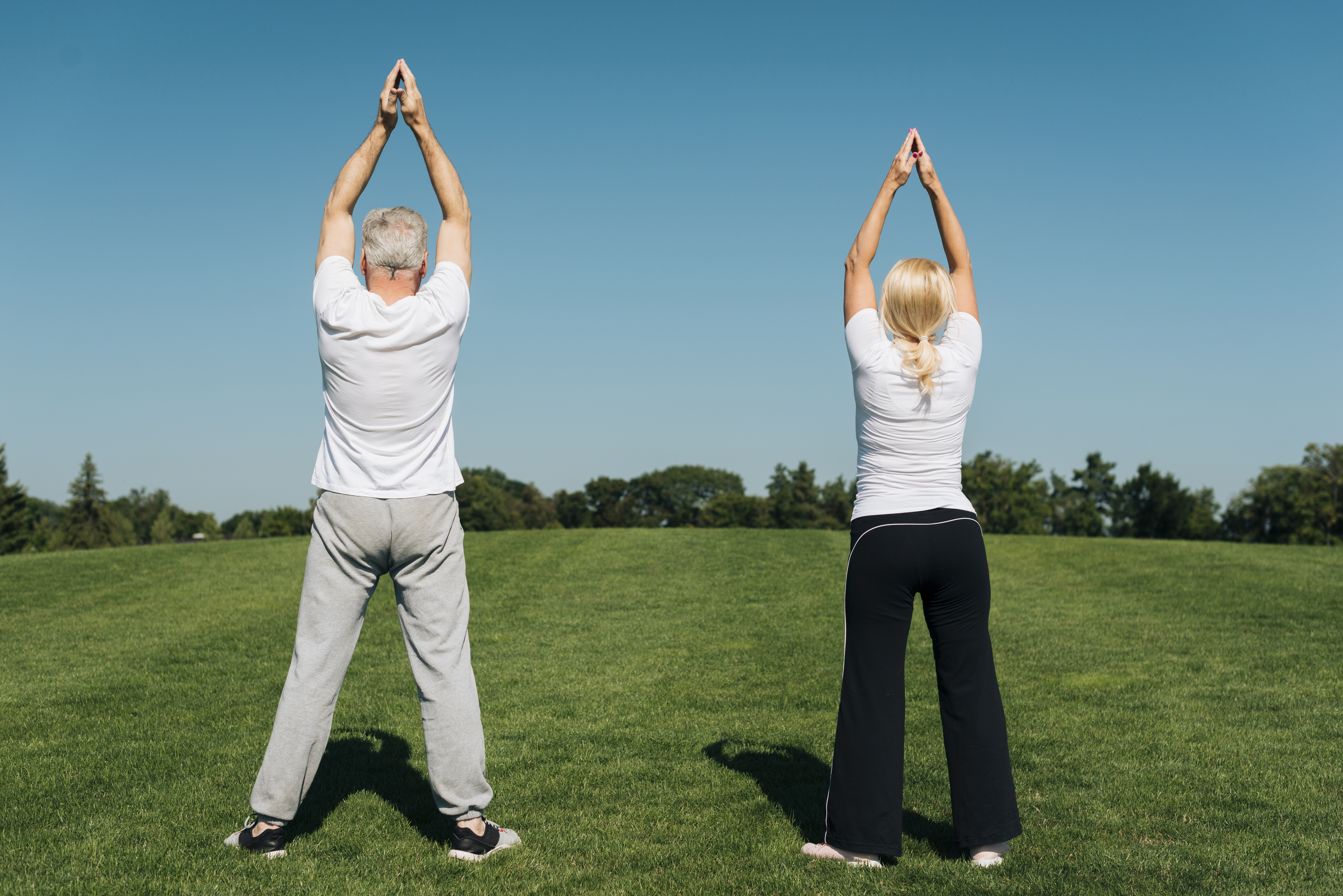 요가하는 노인들