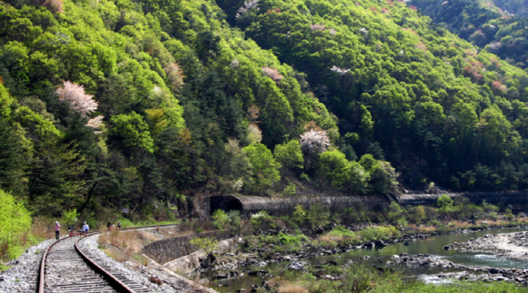 문경 레일바이크