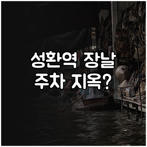 성환역 장날 주차 주의사항과 인근 주..