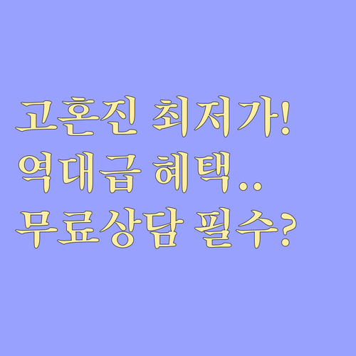 고혼진 가격 정보와 이벤트 혜택 및 ..