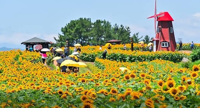 우리나라 여름 축제의 모든 것