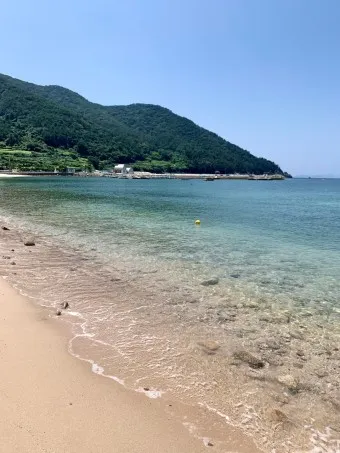 비진도 배시간표 예매 요금 배편 예약_8