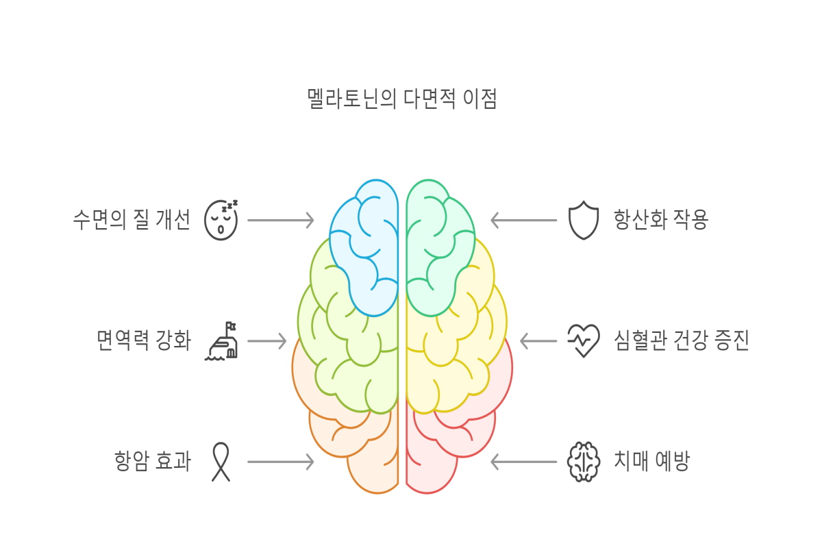 멜라토닌 많은 음식