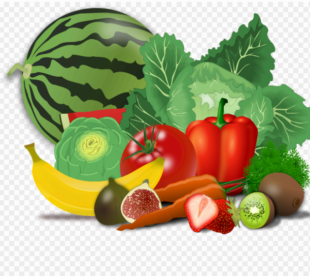 균형 잡힌 식단