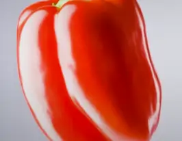 한살림 인터넷장보기