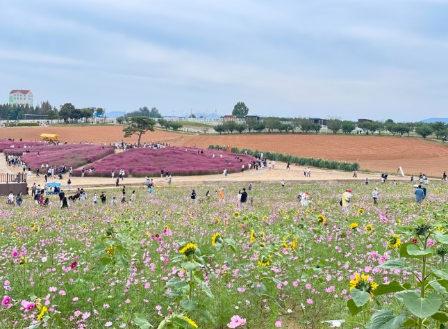 수도권 한적한 나들이 장소, 안성 팜랜드