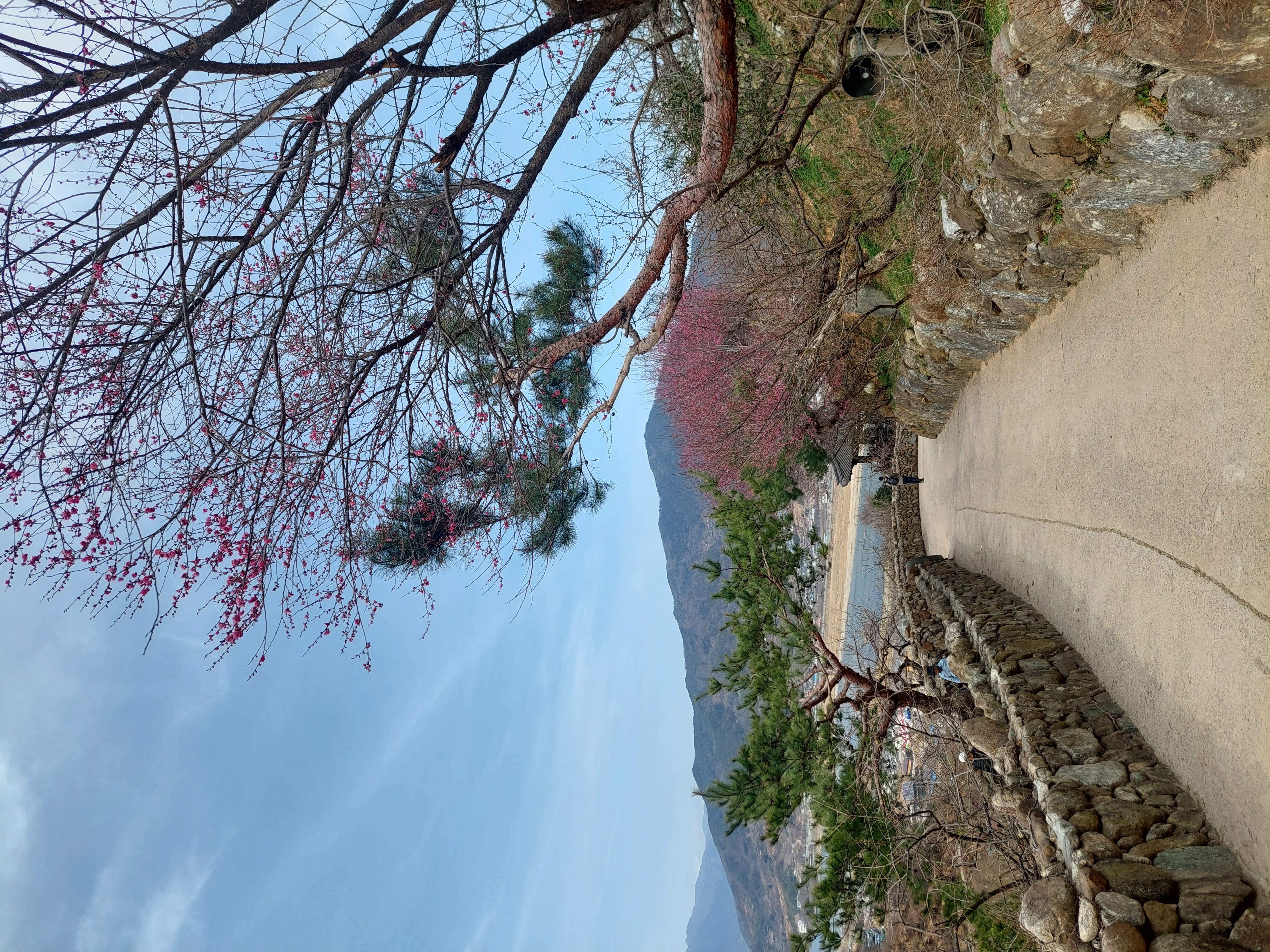 쫓비산