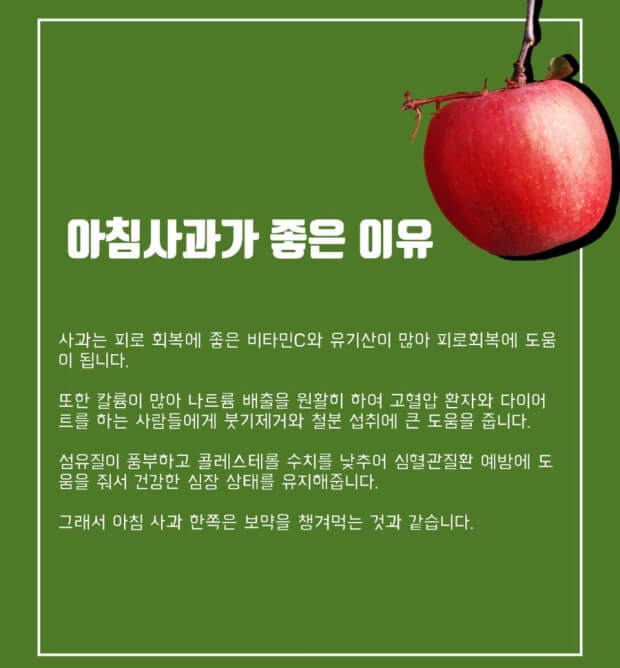 아침 사과의 효능