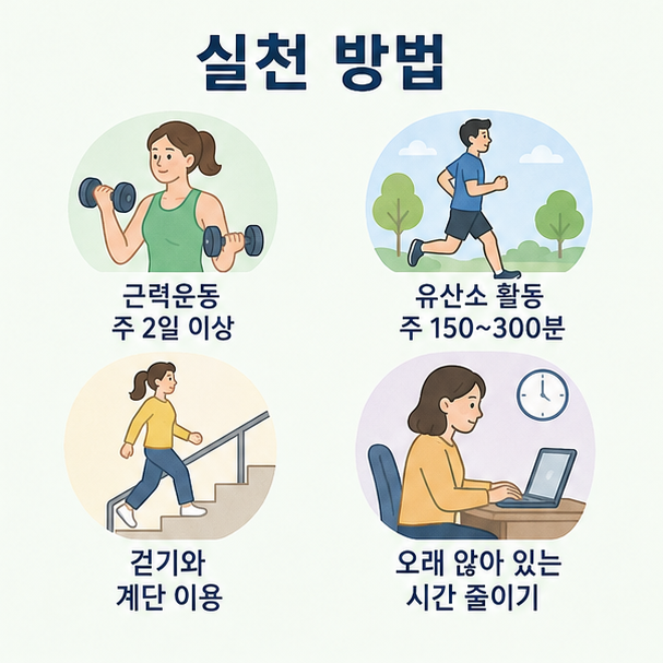 근력운동 주 2일 이상, 유산소 활동 주 150~300분, 걷기와 계단 이용 등 실천 방법