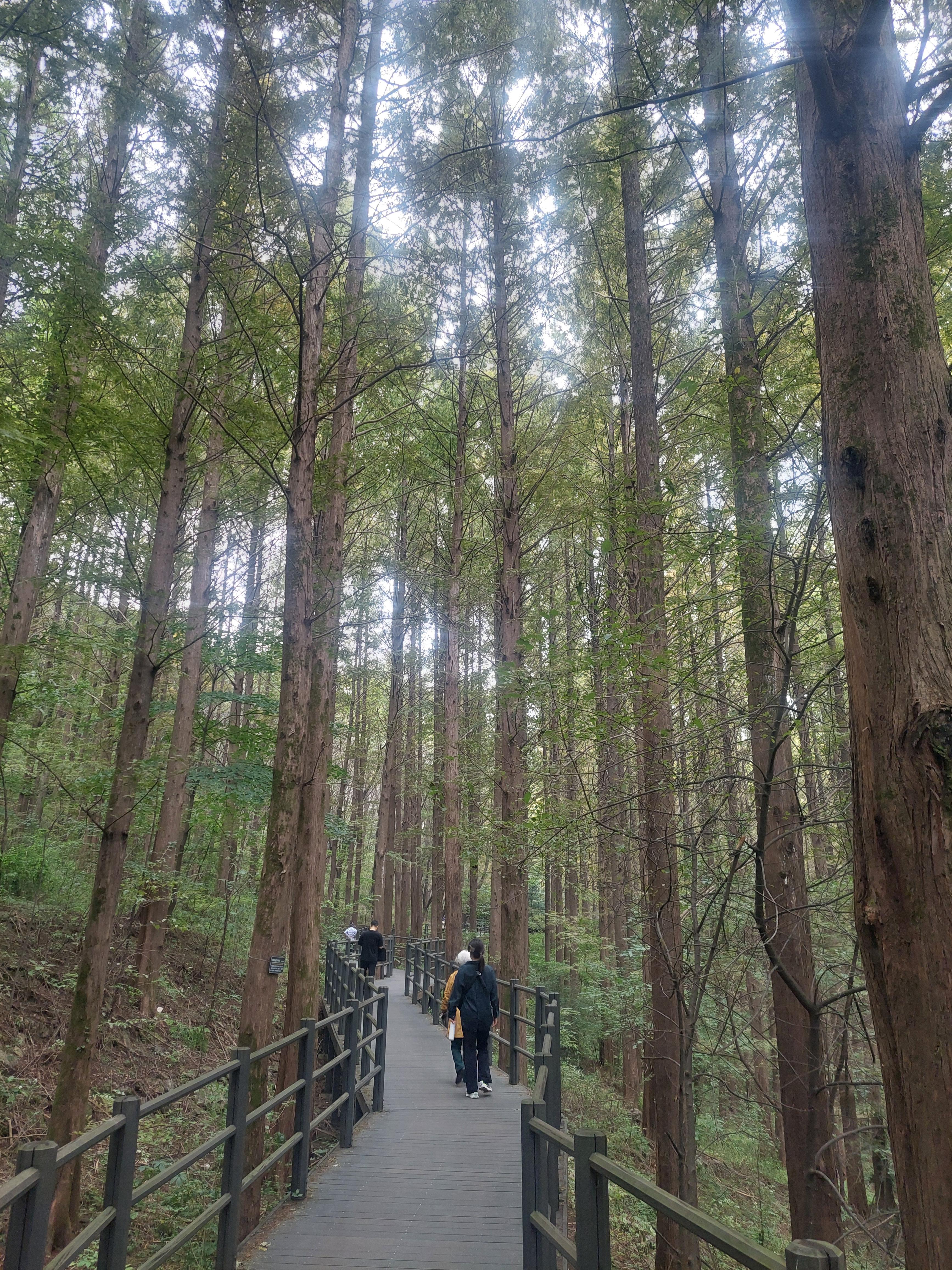 안산